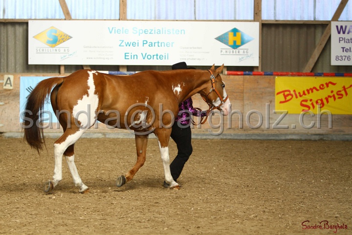 23-APHA SS_017.jpg